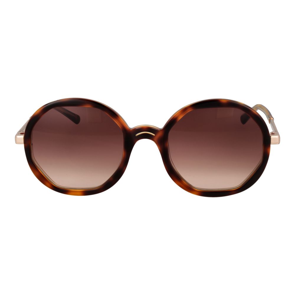 Sandro Brown Acetate Sunglasses